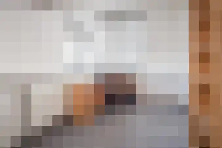 Kervel 14 Hoogkarspel thumbnail 25