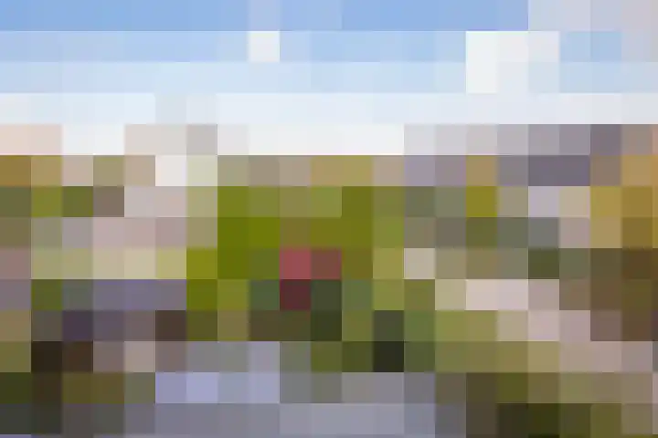 Kervel 14 Hoogkarspel thumbnail 26