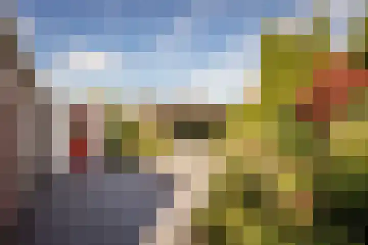 Kervel 14 Hoogkarspel thumbnail 27