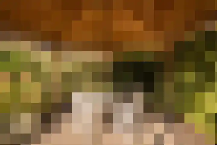 Kervel 14 Hoogkarspel thumbnail 28