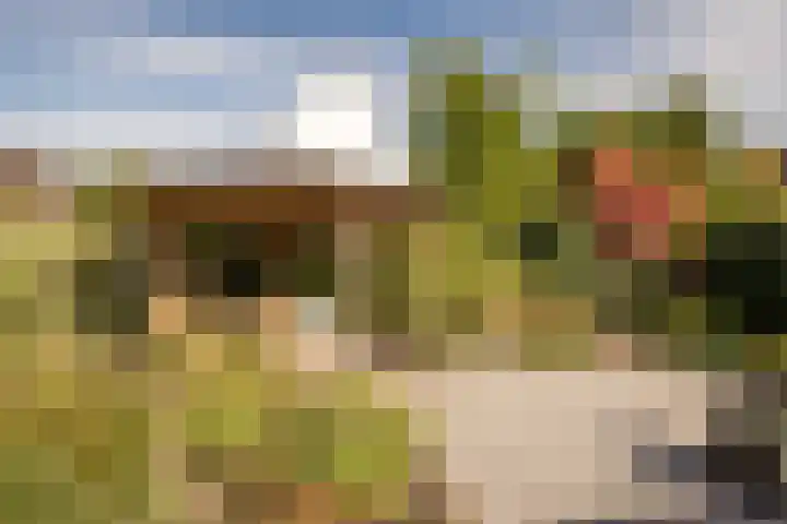 Kervel 14 Hoogkarspel thumbnail 31