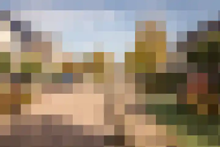 Kervel 14 Hoogkarspel thumbnail 34