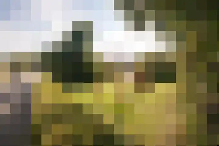 Kervel 14 Hoogkarspel thumbnail 38