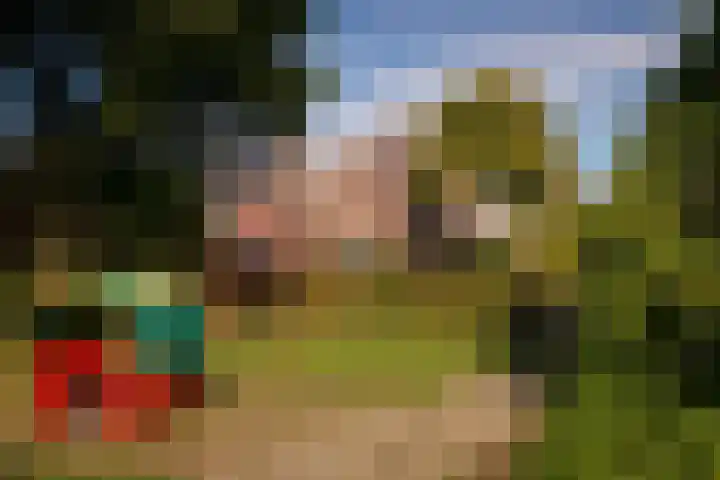 Kervel 14 Hoogkarspel thumbnail 39