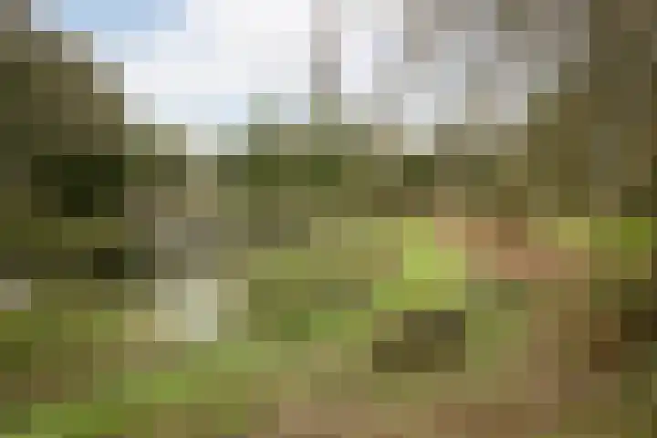 Kervel 14 Hoogkarspel thumbnail 40