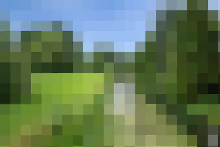 Kervel 14 Hoogkarspel thumbnail 41