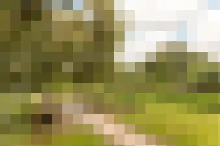 Kervel 14 Hoogkarspel thumbnail 42