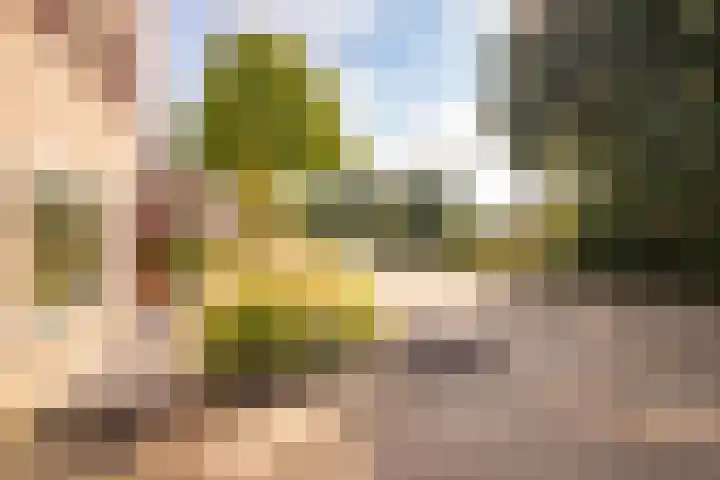Kervel 14 Hoogkarspel thumbnail 5
