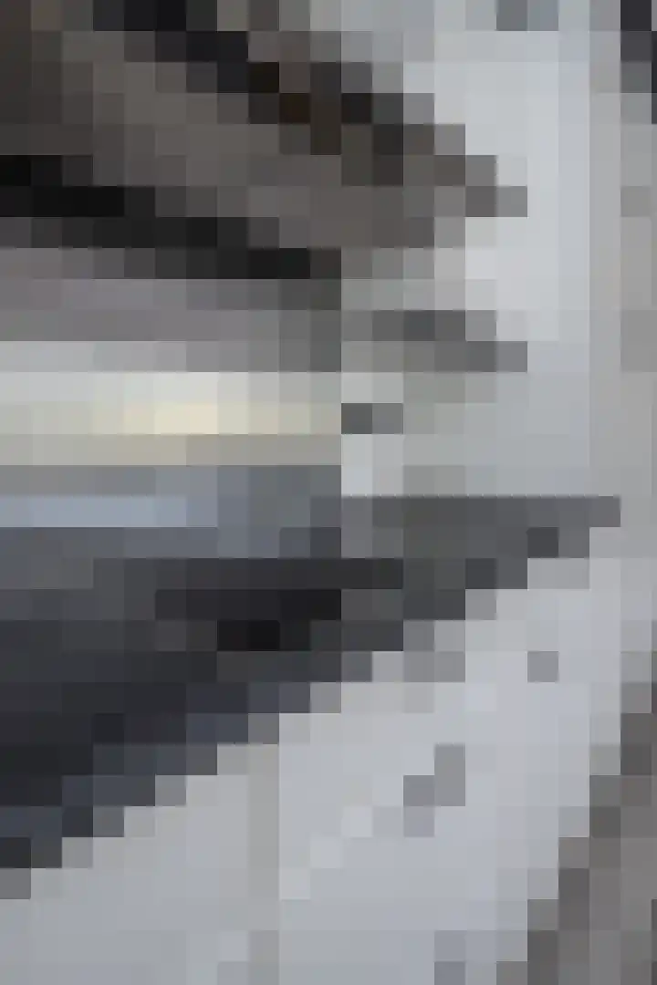 Kervel 14 Hoogkarspel thumbnail 56