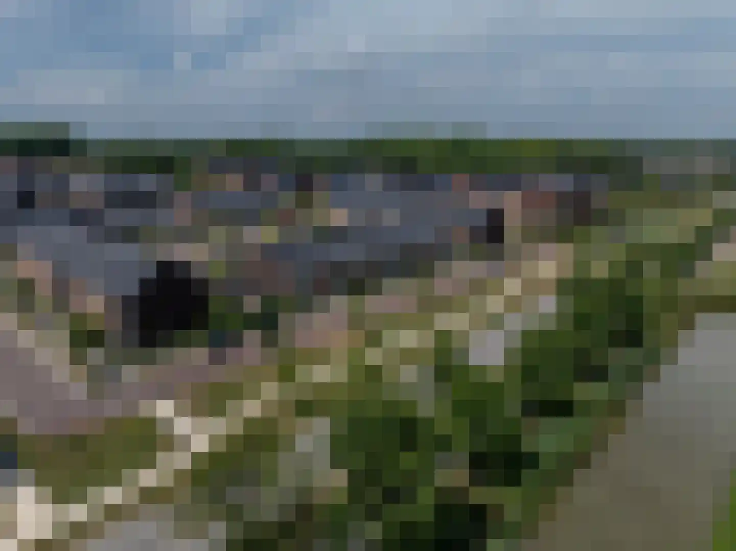 Kervel 19 Numansdorp thumbnail 32