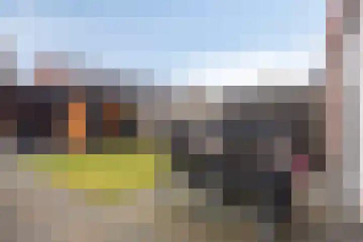 Kervel 20 Hardenberg thumbnail 33