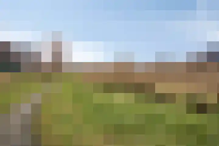 Kervel 20 Hardenberg thumbnail 38