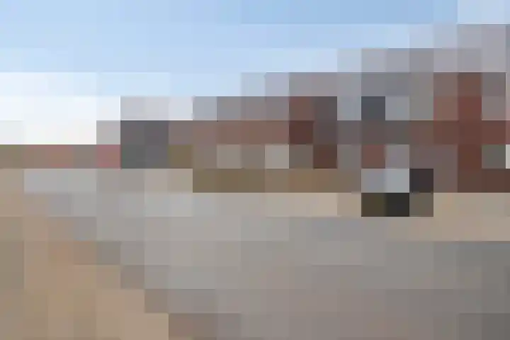 Kervel 20 Hardenberg thumbnail 43