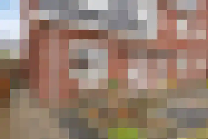 Kervel 20 Hardenberg thumbnail 5