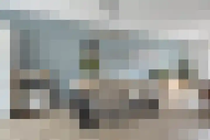 Kervel 20 Hardenberg thumbnail 7