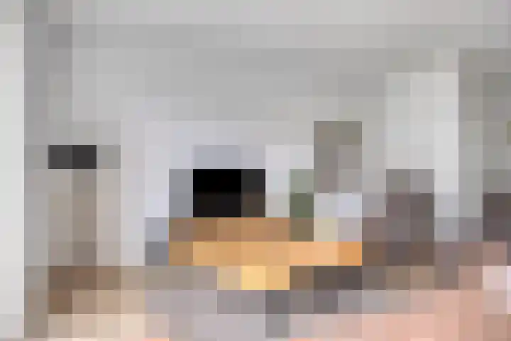 Kervel 20 Hardenberg thumbnail 8