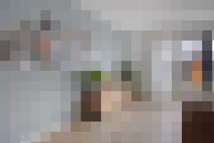 Kervel 20 Hardenberg thumbnail 9