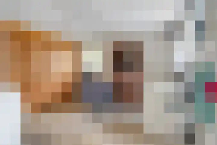Kervel 20 Raalte thumbnail 22