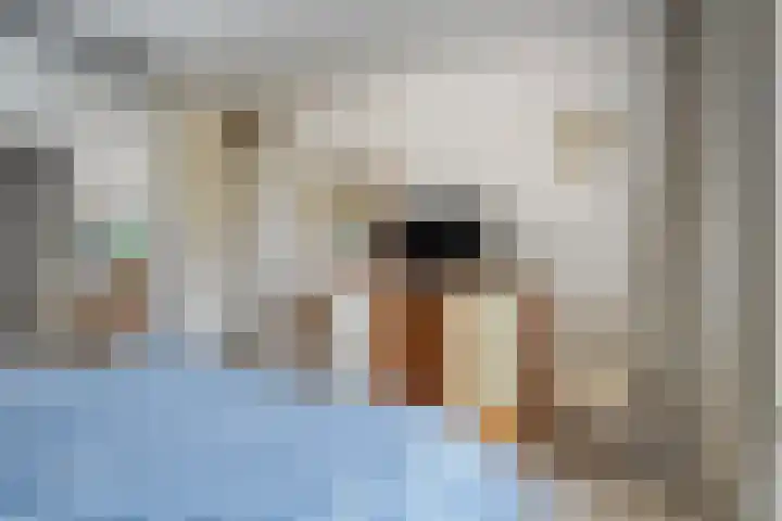 Kervel 20 Raalte thumbnail 30