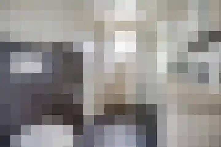 Kervel 20 Raalte thumbnail 31