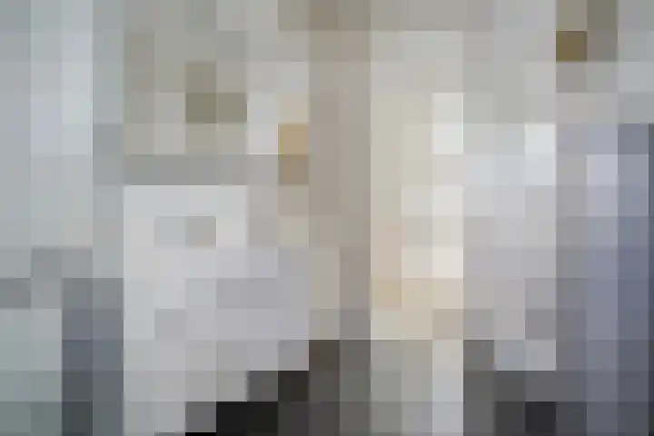 Kervel 20 Raalte thumbnail 32