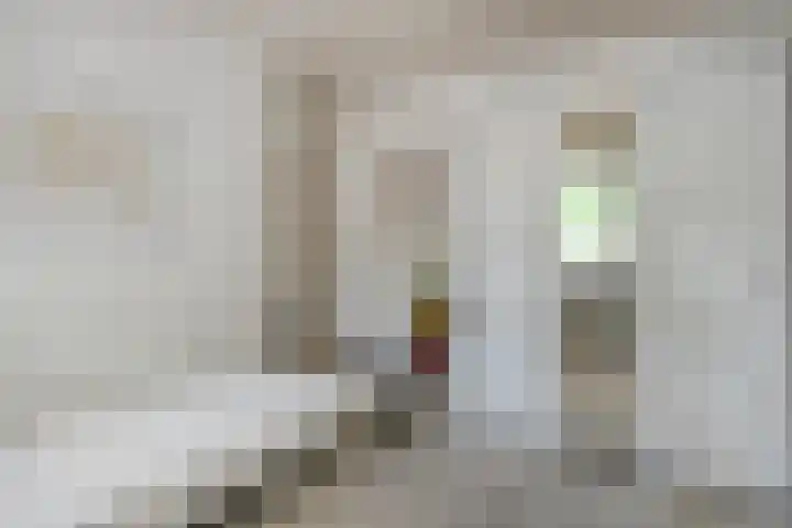 Kervel 20 Raalte thumbnail 34