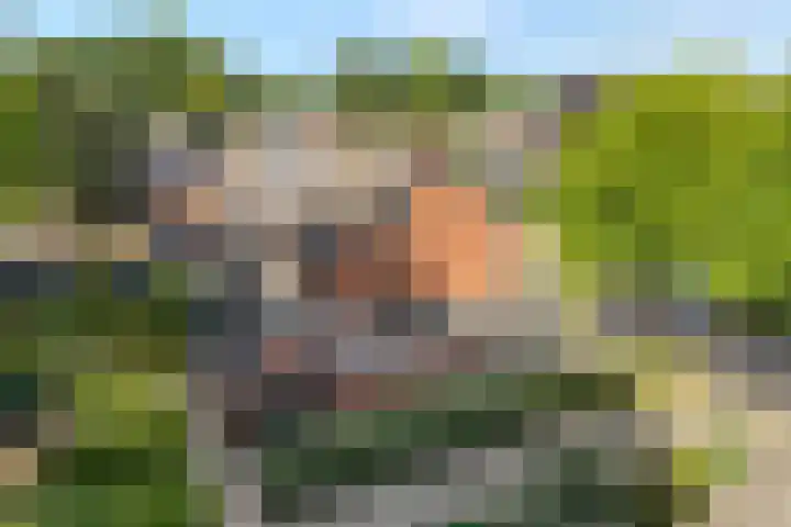 Kervel 20 Raalte thumbnail 4