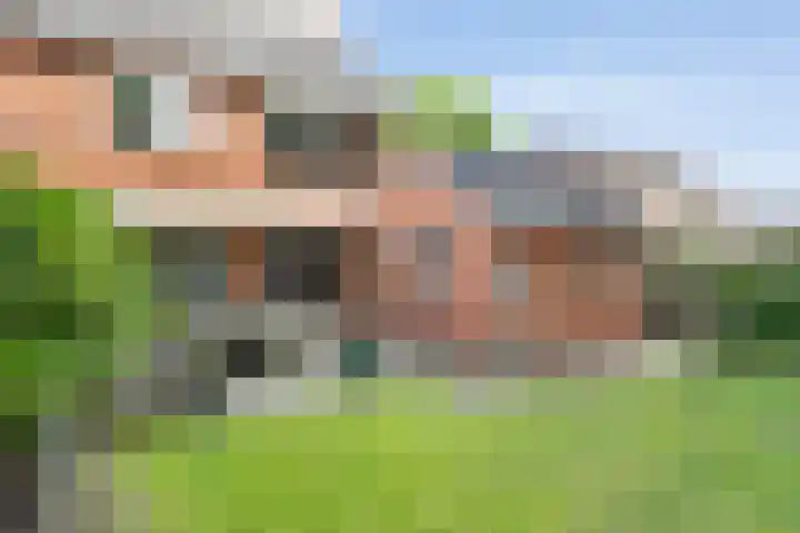 Kervel 20 Raalte thumbnail 42