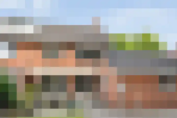 Kervel 20 Raalte thumbnail 43