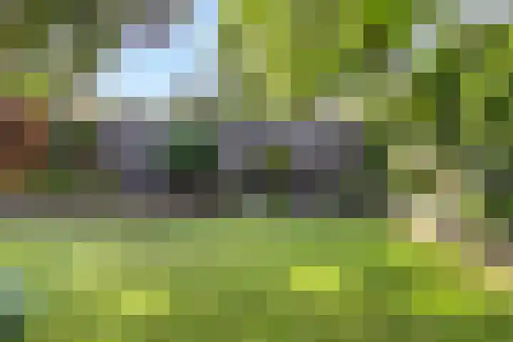 Kervel 20 Raalte thumbnail 44
