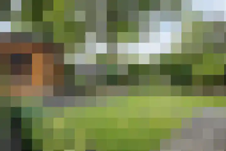 Kervel 20 Raalte thumbnail 47