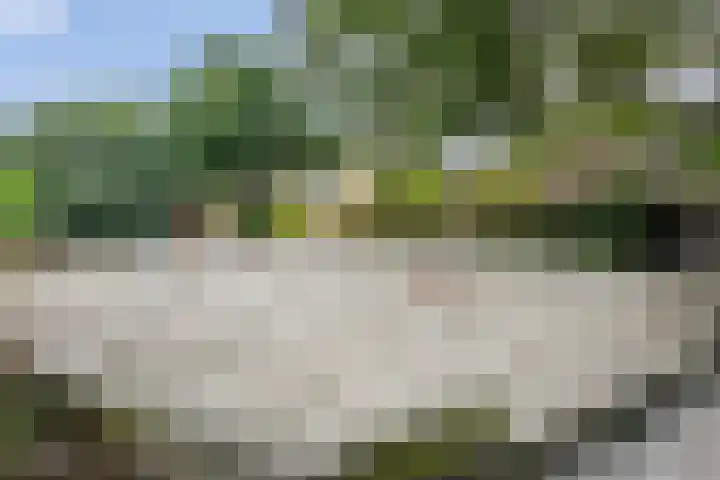 Kervel 20 Raalte thumbnail 49
