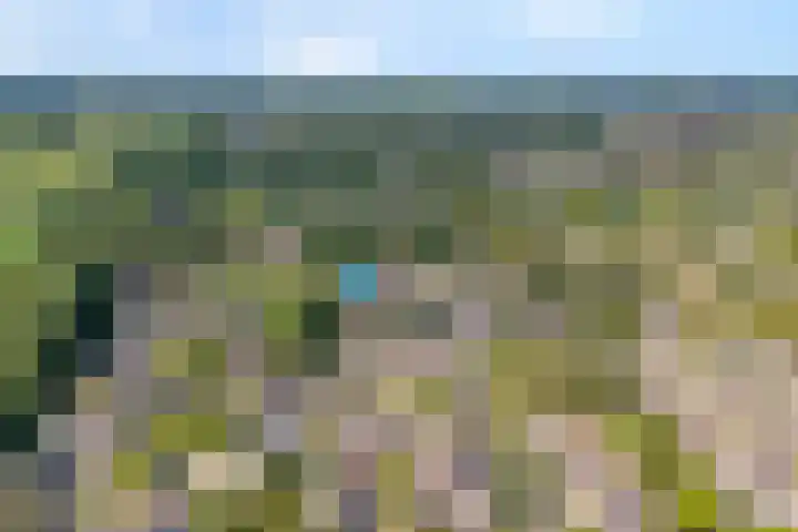 Kervel 20 Raalte thumbnail 5