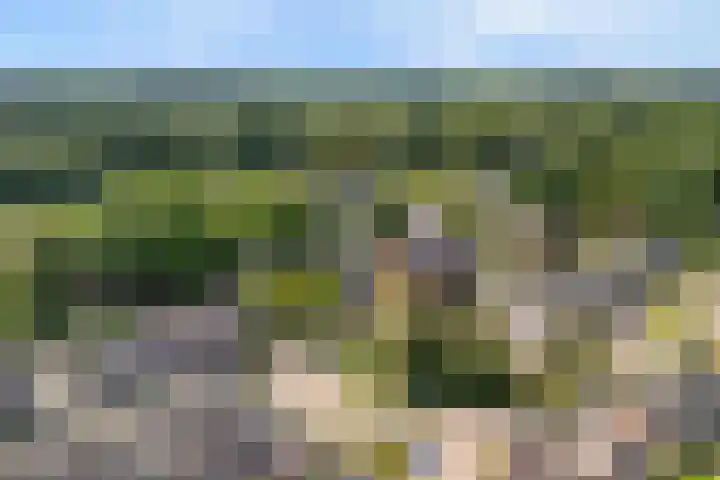Kervel 20 Raalte thumbnail 6