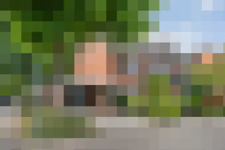 Kervel 20 Raalte thumbnail 7