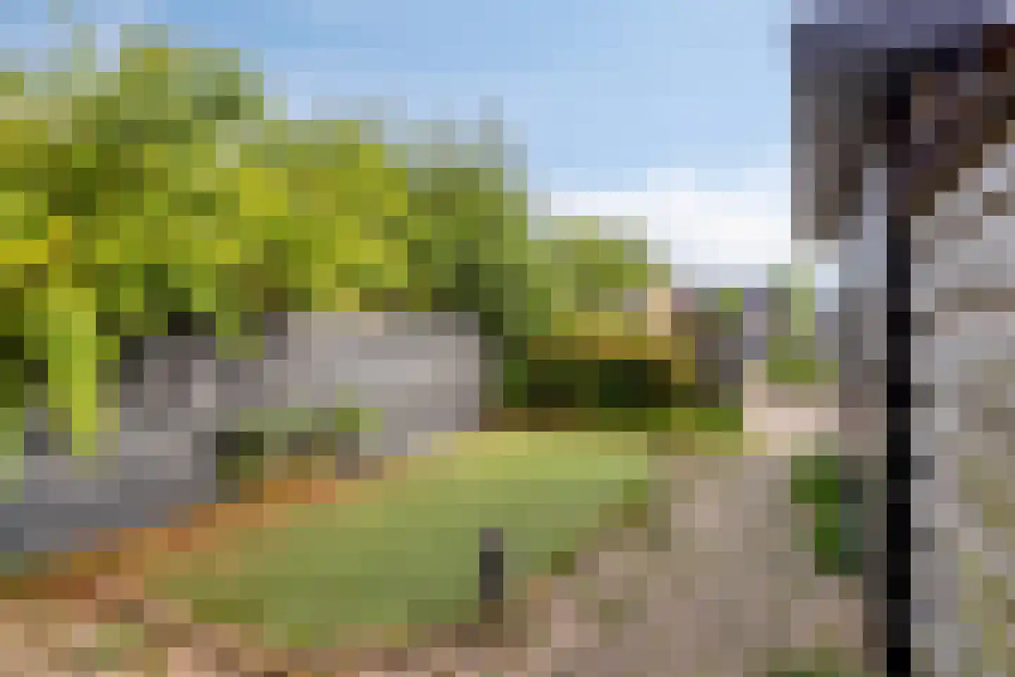 Kervel 21 Heerhugowaard thumbnail 6