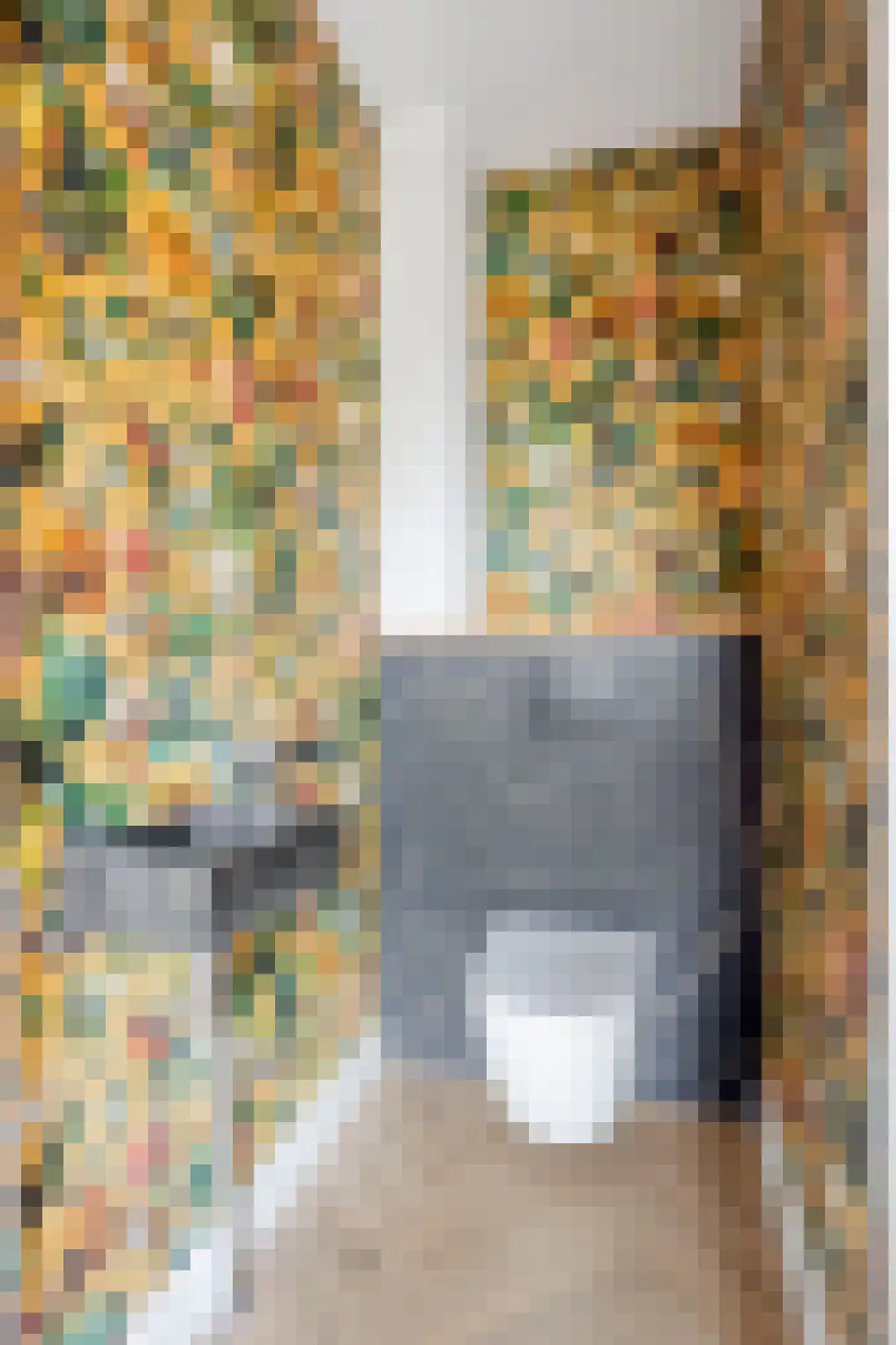 Kervel 21 Heerhugowaard thumbnail 9