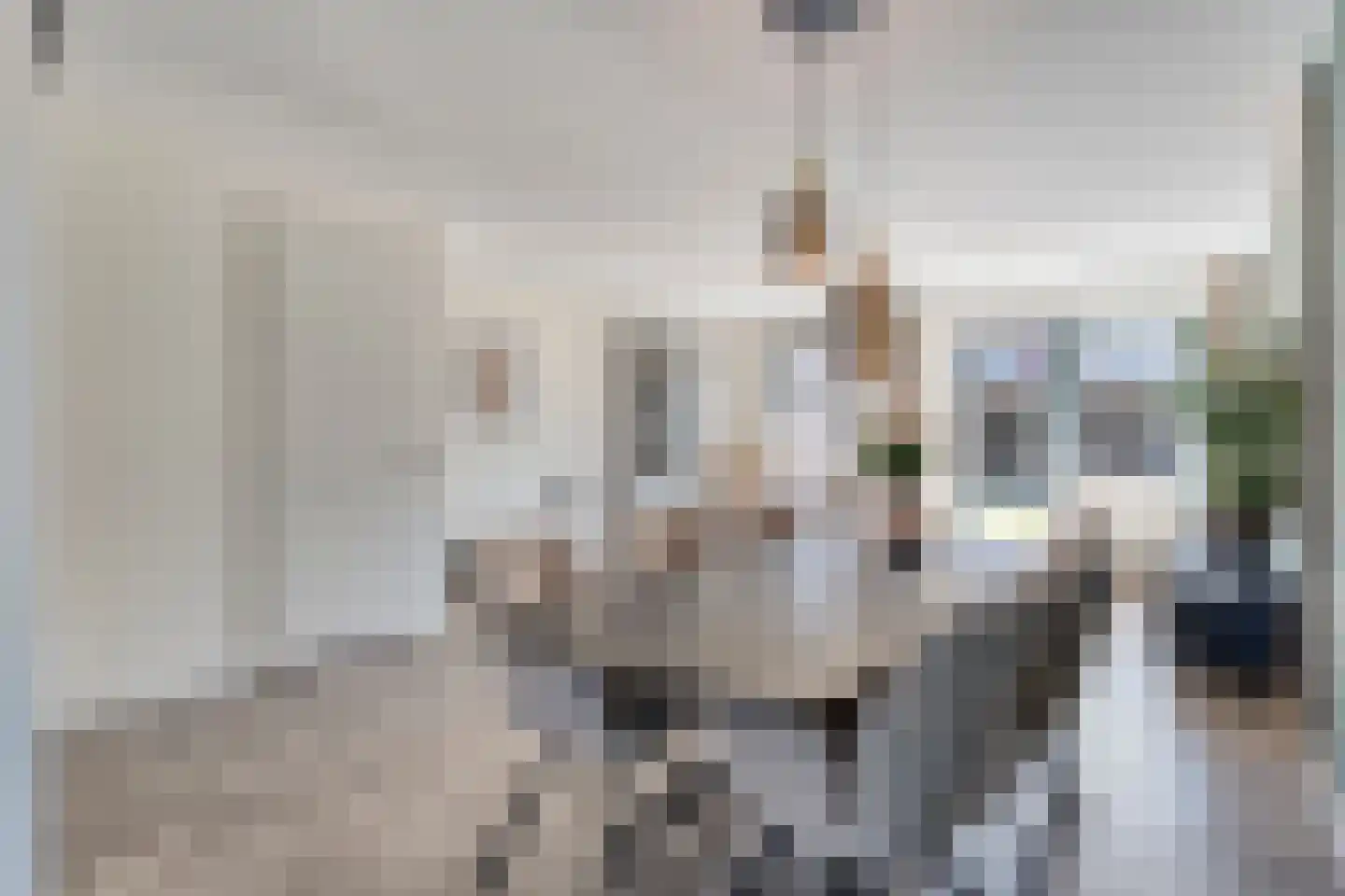 Kervel 22 Hardenberg thumbnail 17