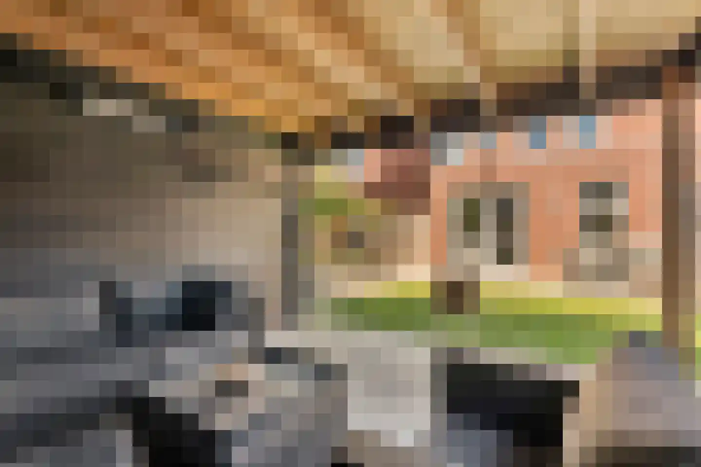 Kervel 22 Hardenberg thumbnail 46