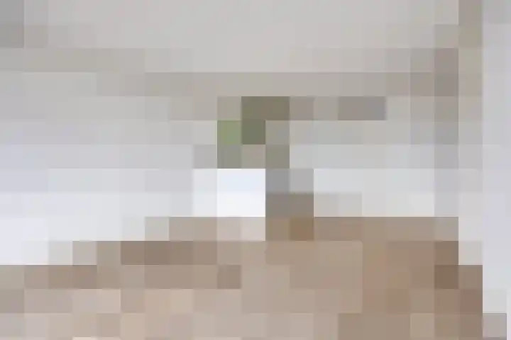 Kervel 28 Oisterwijk thumbnail 8