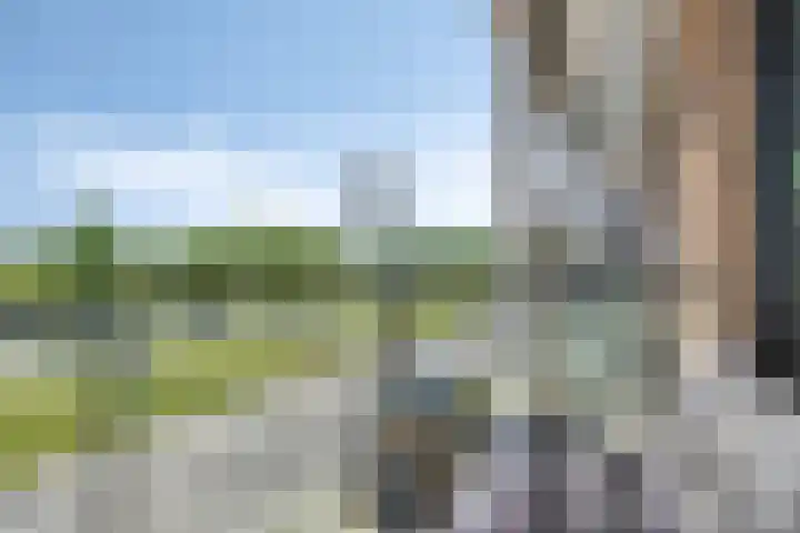 Kervel 31 Numansdorp thumbnail 11