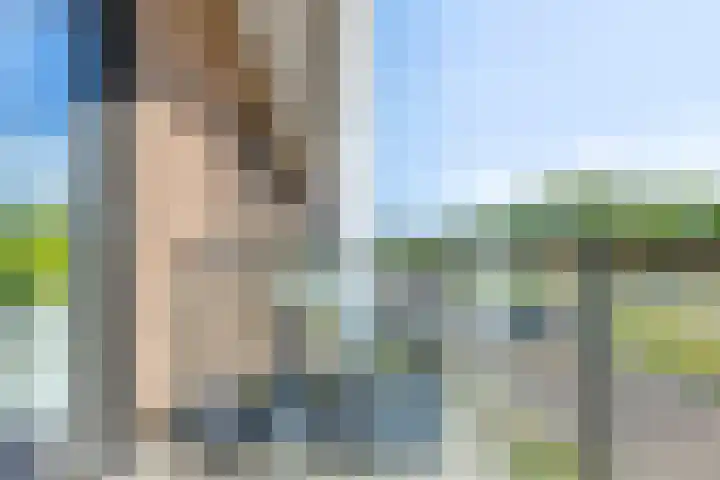 Kervel 31 Numansdorp thumbnail 13