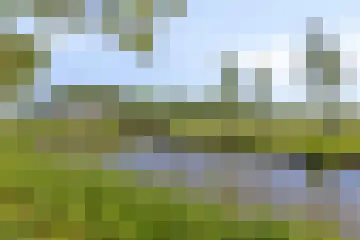 Kervel 31 Numansdorp thumbnail 23