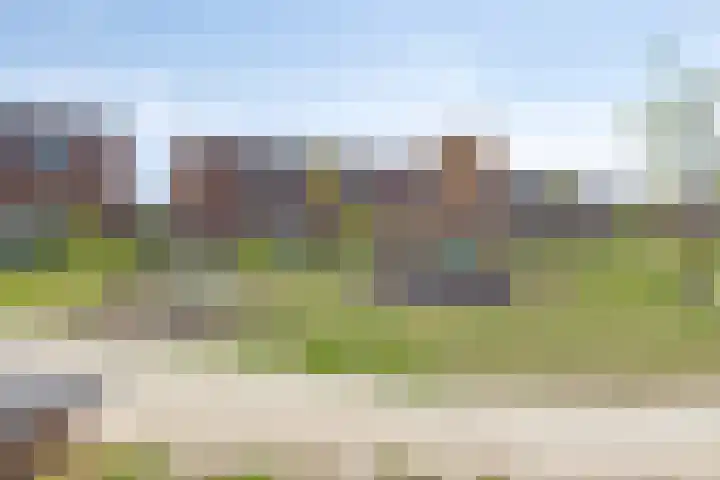 Kervel 31 Numansdorp thumbnail 25