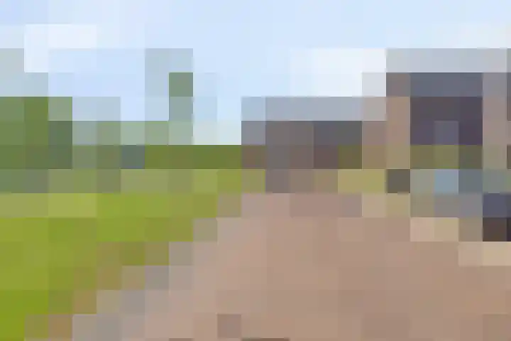 Kervel 31 Numansdorp thumbnail 27