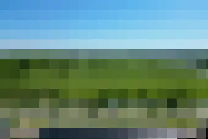 Kervel 31 Numansdorp foto 3