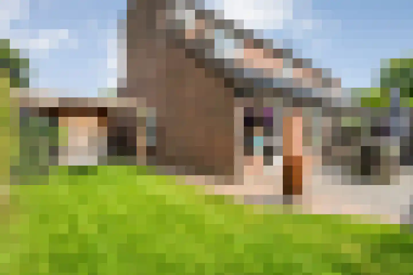 Kervel 46 Raalte thumbnail 35