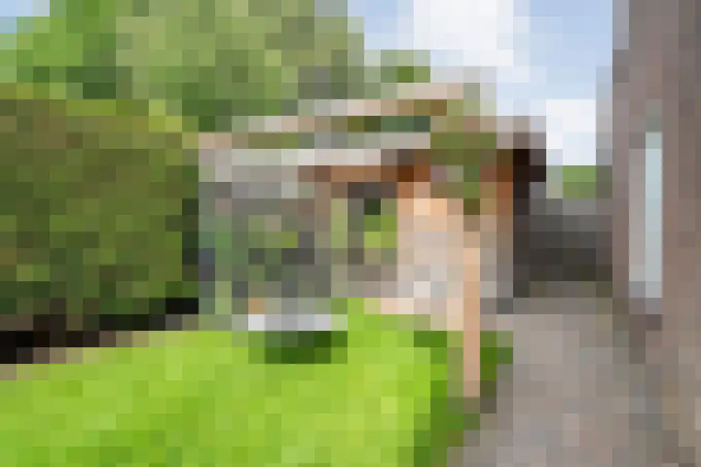 Kervel 46 Raalte thumbnail 36