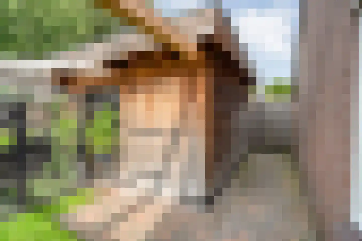 Kervel 46 Raalte thumbnail 37