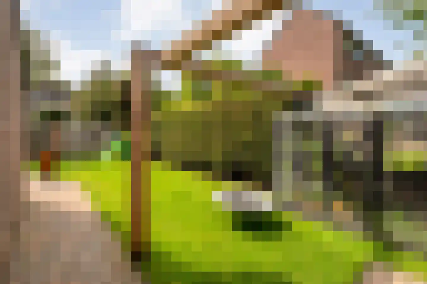 Kervel 46 Raalte thumbnail 38